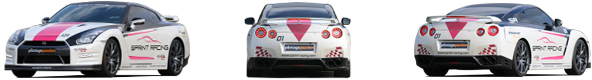 pilotage nissan gtr